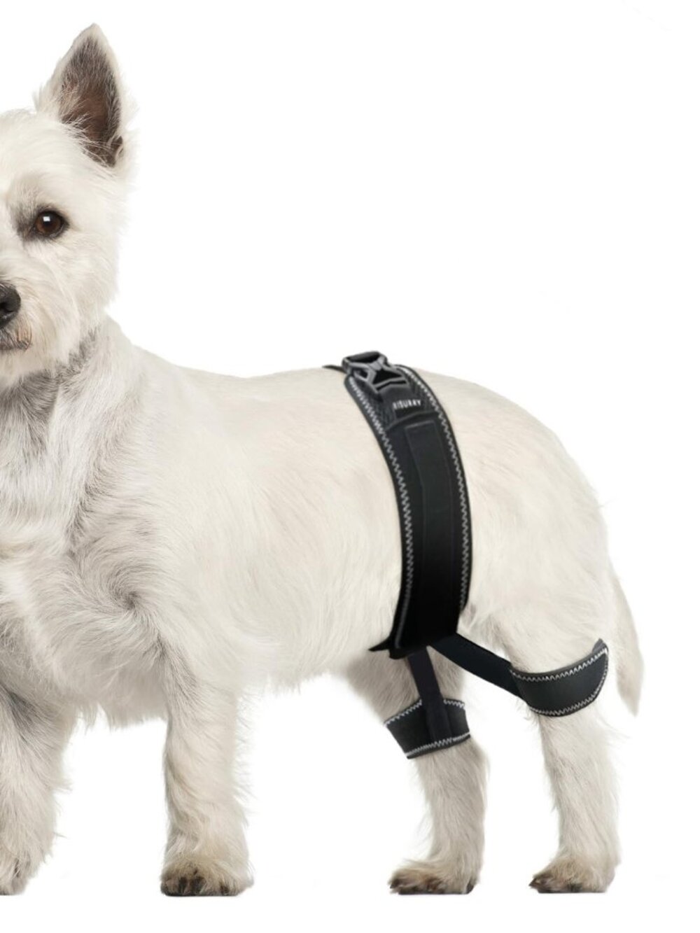 CHAMIN Dog Hip Brace